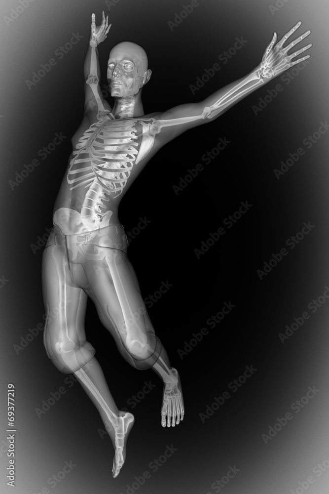 human bones radiography scan image human bones radiography scan image