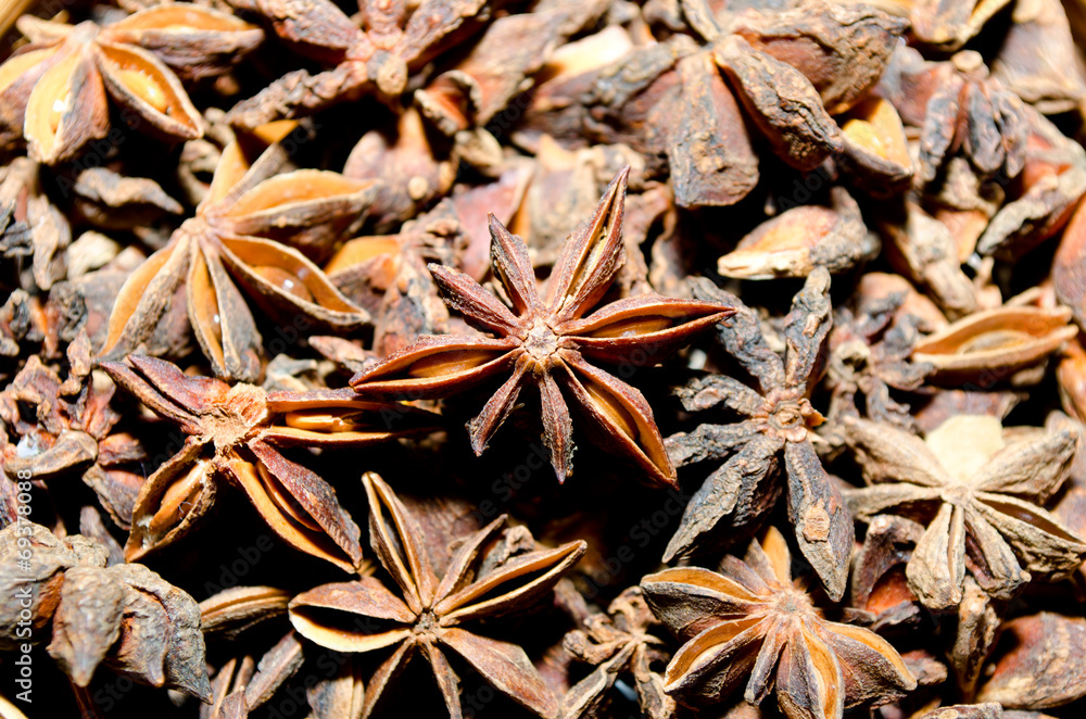 star anise star anise