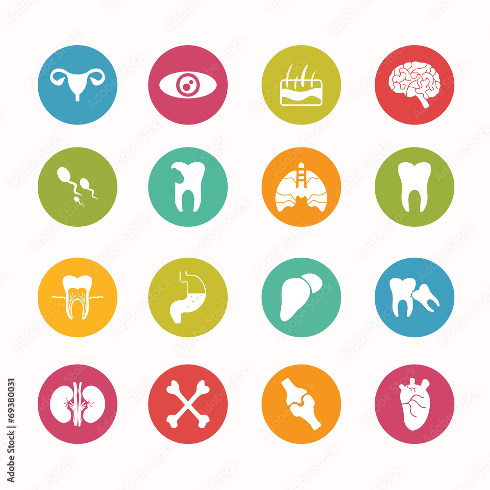 Human anatomy  icons set Circle Series - eps.10