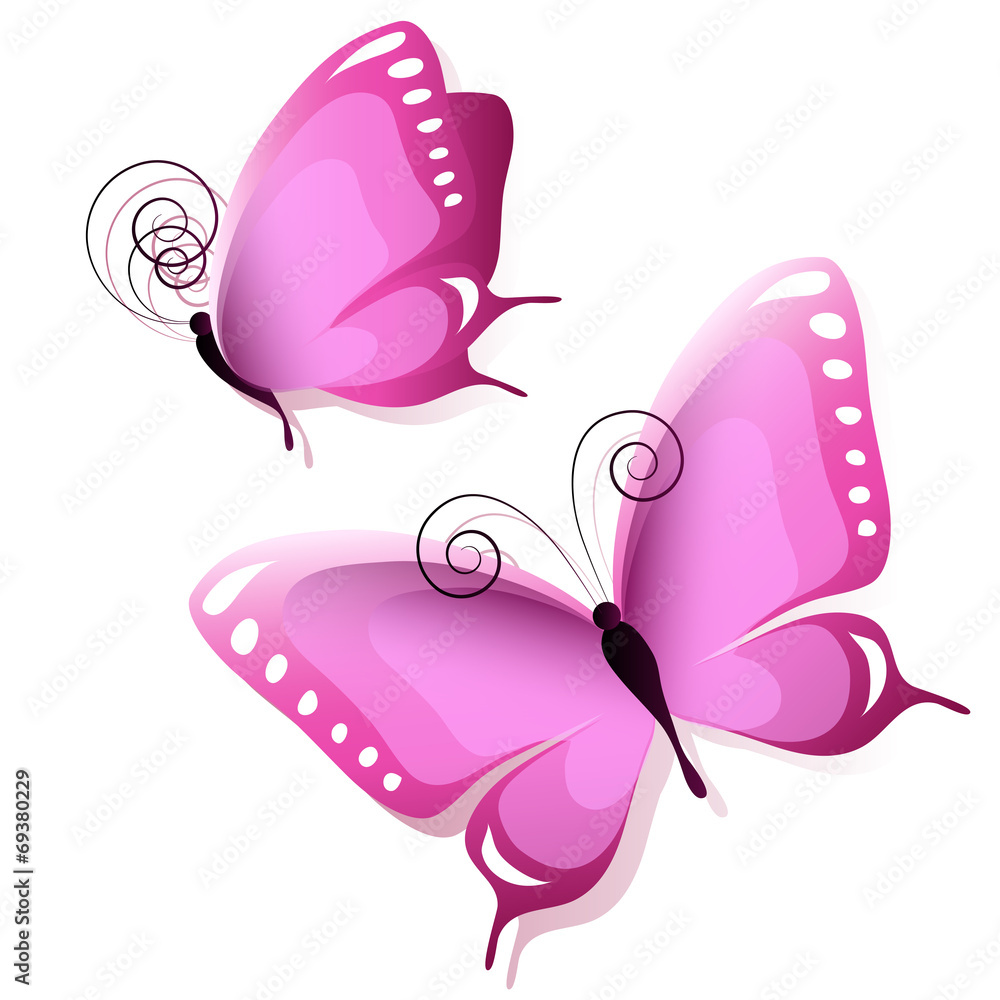 butterflies design butterflies design