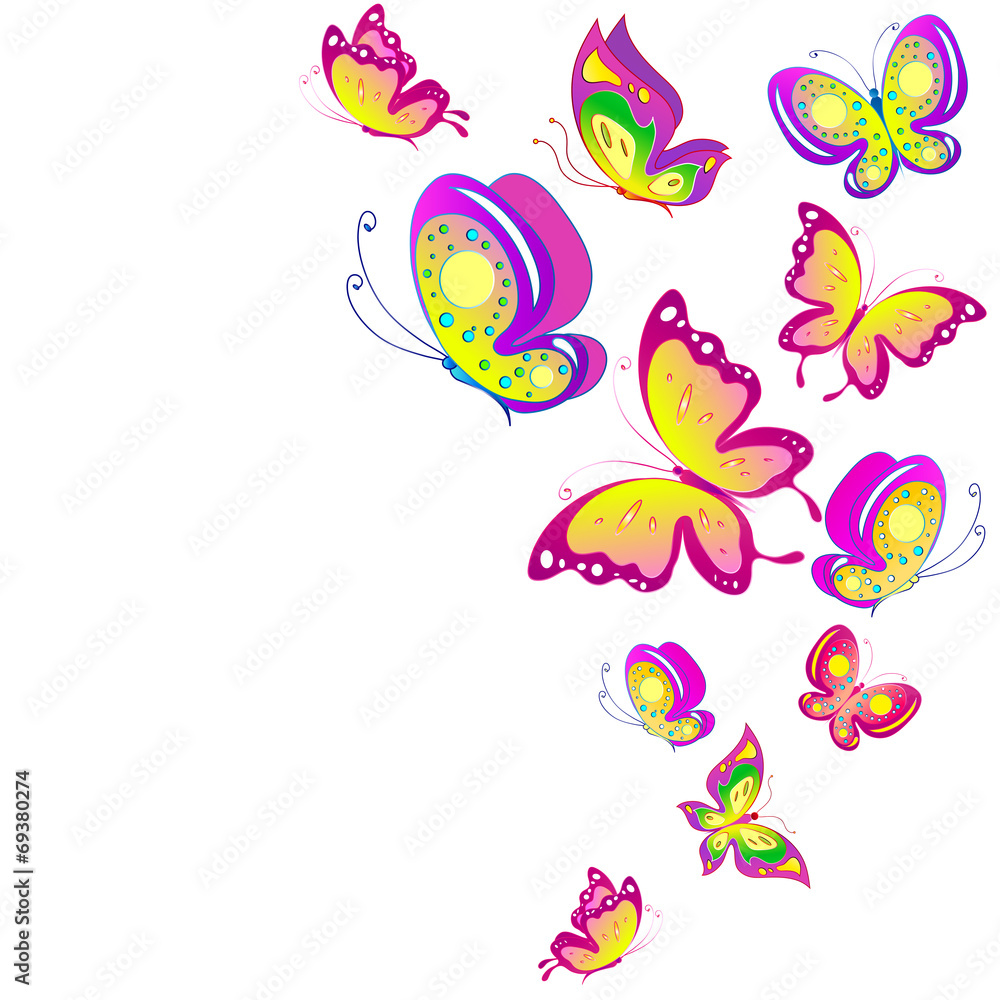 Fototapeta premium butterflies design