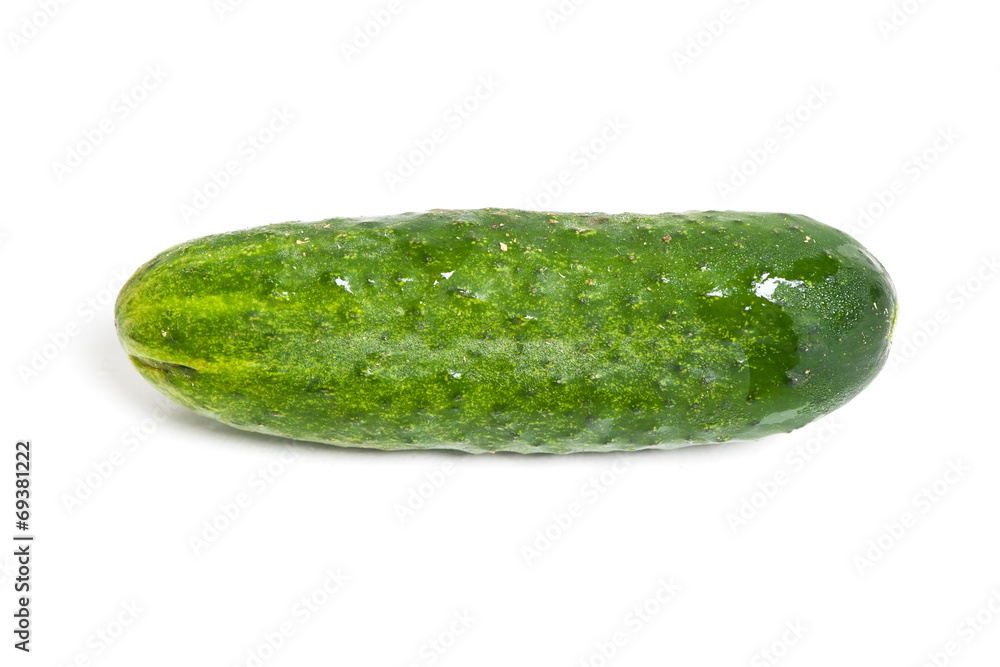 Fresh cucumber Fresh cucumber
