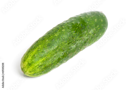 Fresh cucumber