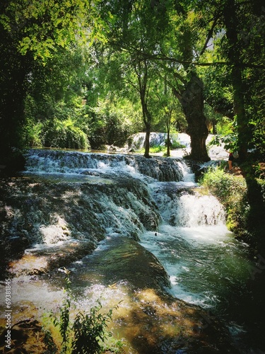 cascada natural en el bosque