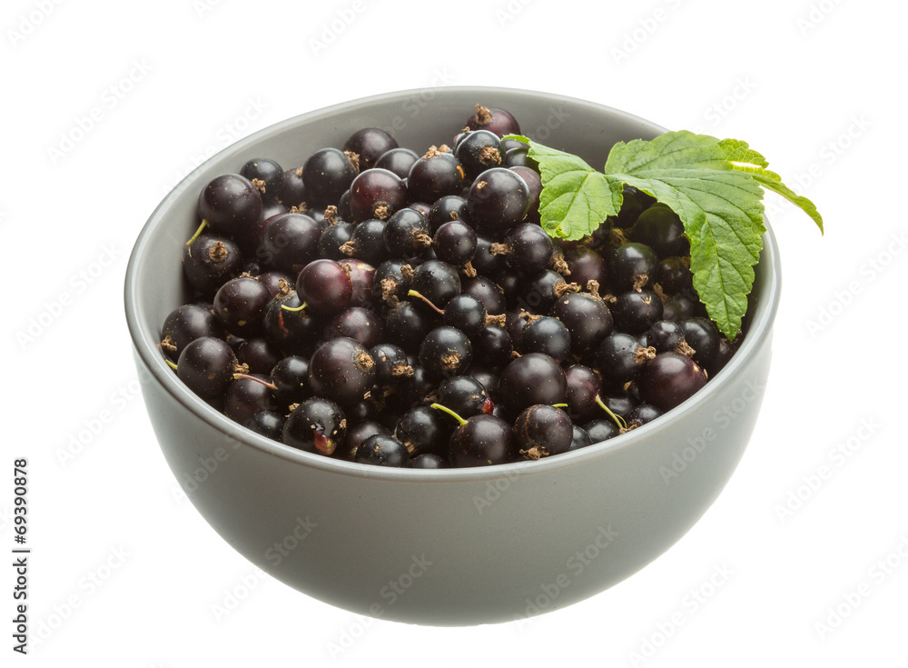 Black currant Black currant