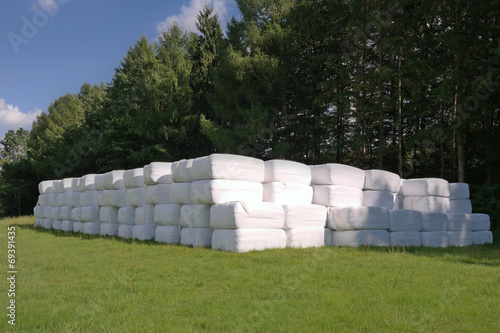 Silageballen auf Wiese