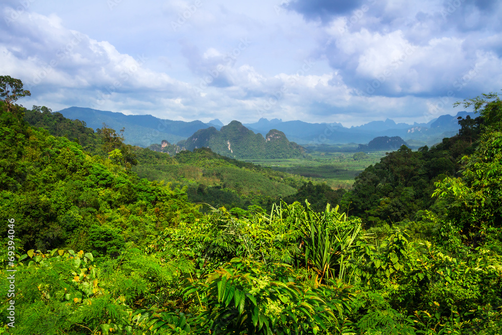 Rainforest of Khao Sok National Park in Thailand