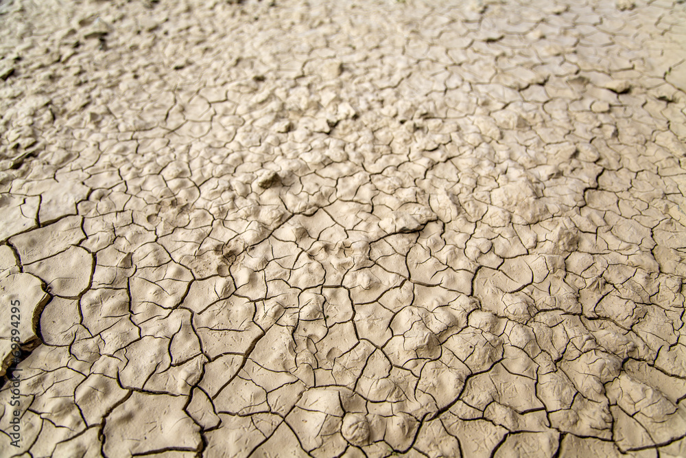 Soil cracks Soil cracks