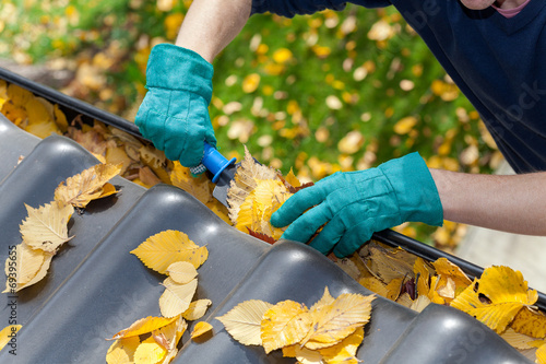Tablou pe pânză Cleaning gutters from leaves