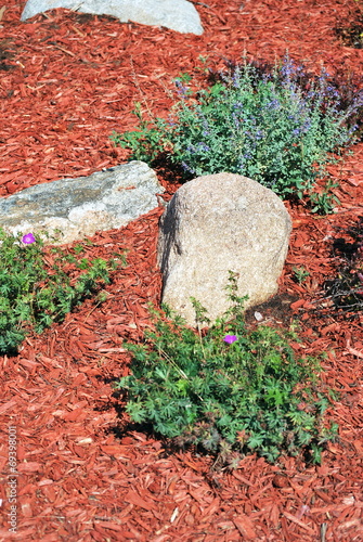Canvas Print Rock garden.