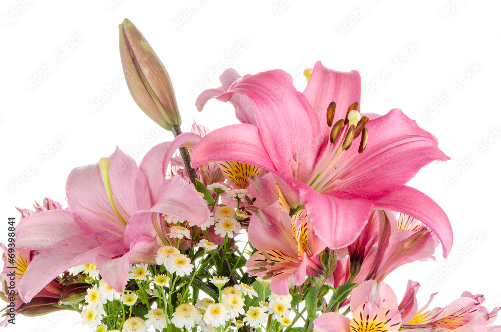 Pink lilies Pink lilies