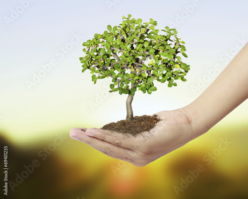 Holding a tree