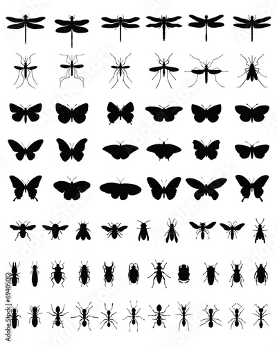 Black silhouettes of insects  vektor