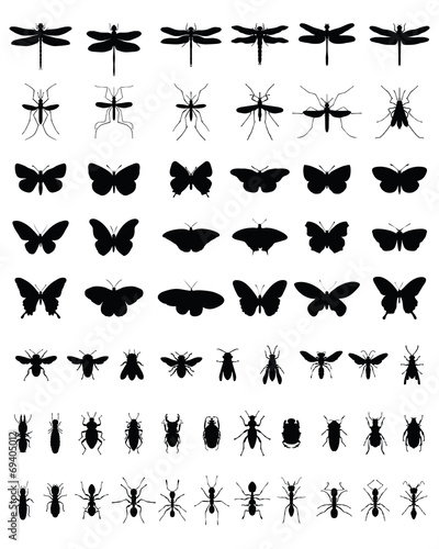 Black silhouettes of insects, vektor