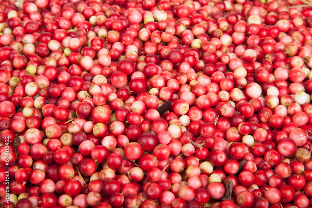 scattering of forest berries a cowberry scattering of forest berries a cowberry