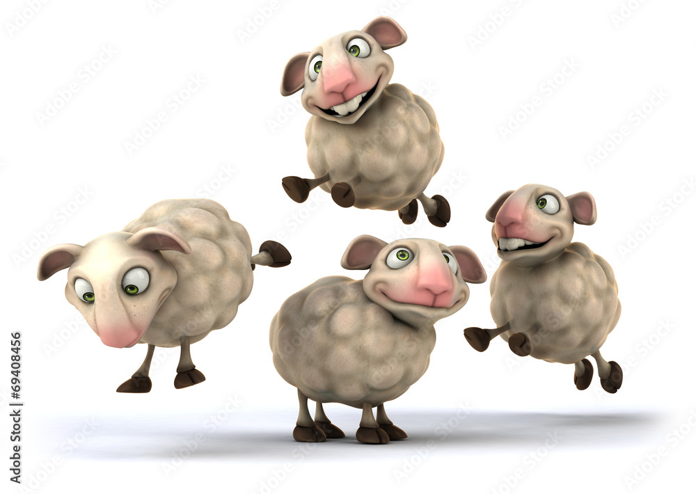 Fun sheep Fun sheep