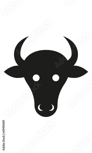Stier Kopf Frontal
