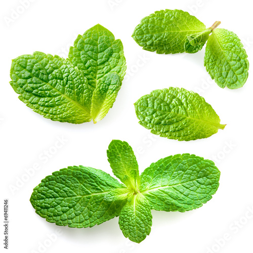 Fresh mint leaves isolated on white background. Collection
