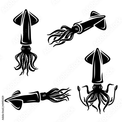 Squid set. Vector