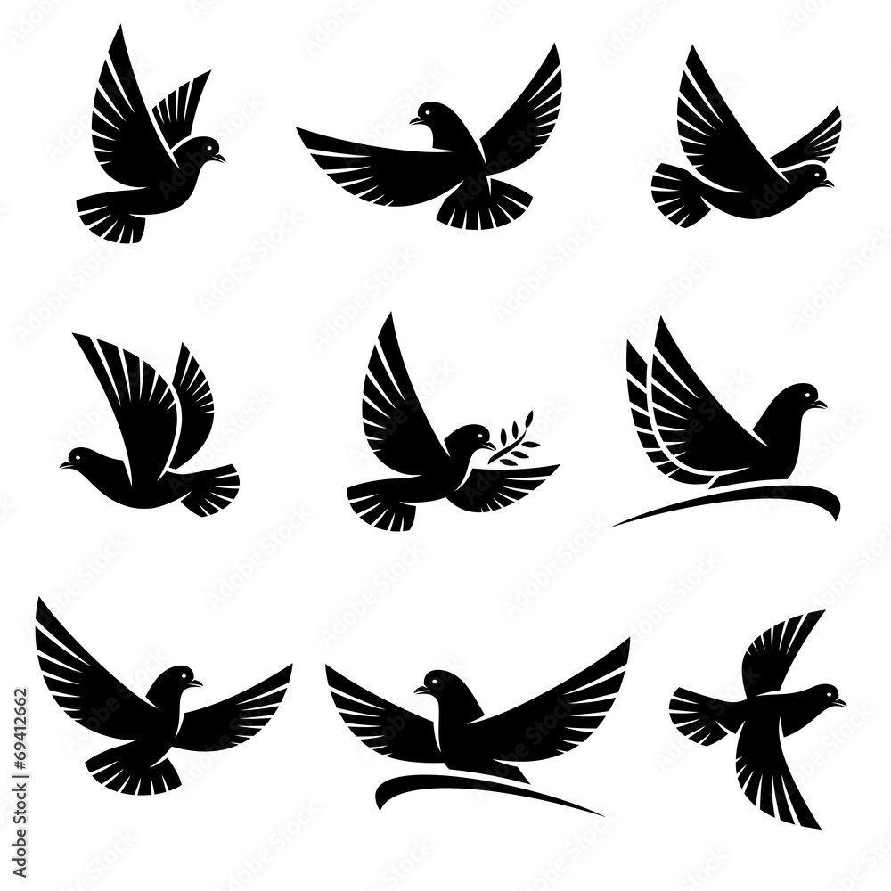 Dove set. Vector Dove set. Vector