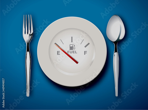 food is fuel