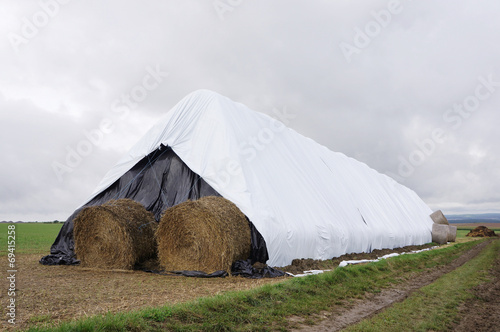 Strohlager aus Rundballen mit Folienabdeckung photo