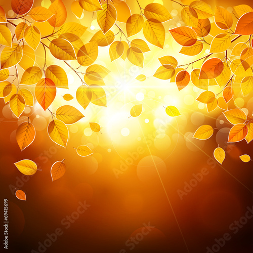 Autumn leaves