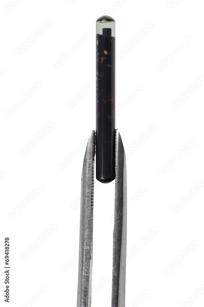 animal implant on tweezers