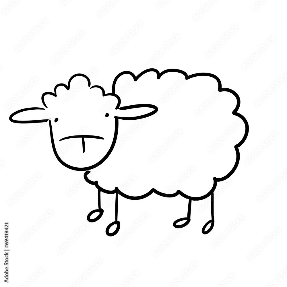 sheep_11 sheep_11