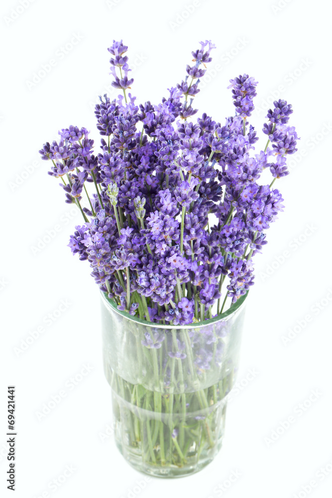 Naklejka premium lavender in a glass isolated on white