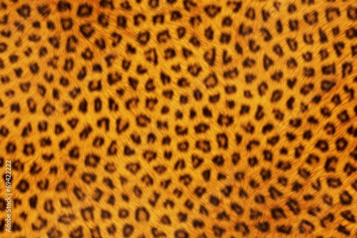 Fur Animal Textures, Leopard small