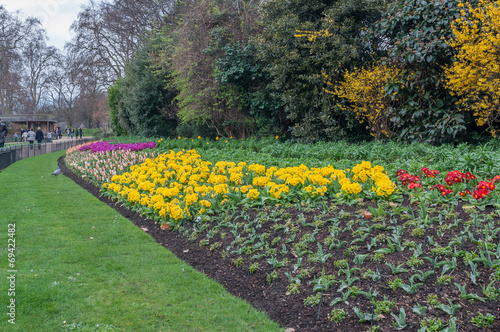 Flowers in St.James Park