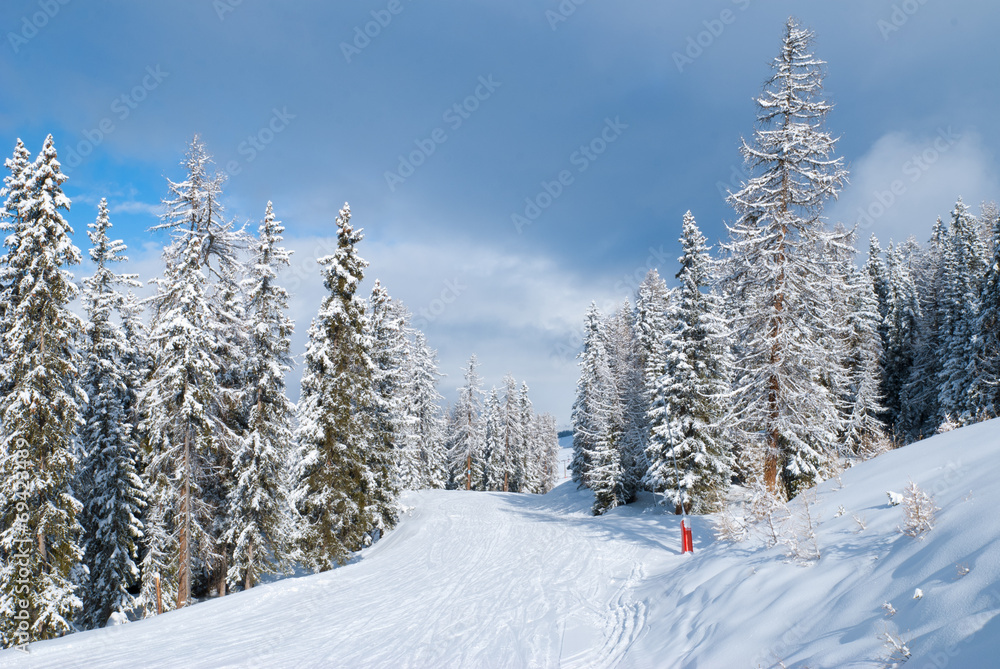Beautiful winter landscape with fir trees Beautiful winter landscape with fir trees