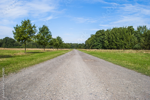 Gravel road through fields and woods