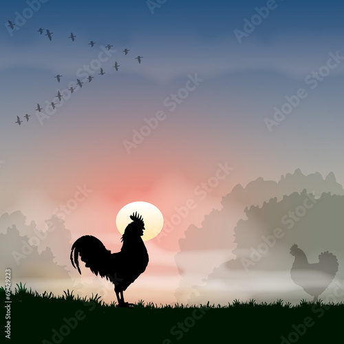 Faune - Coq à l’aurore