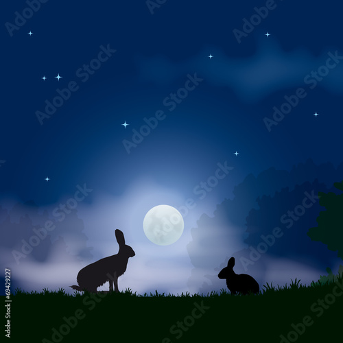 Faune - Lièvre et lapin au clair de lune
