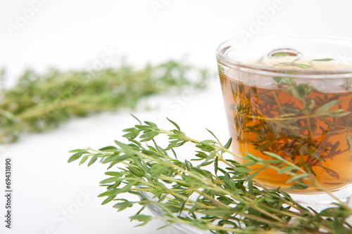 Thymiantee mit frischen Kräutern in Tasse vor weißem Hintergrund photo