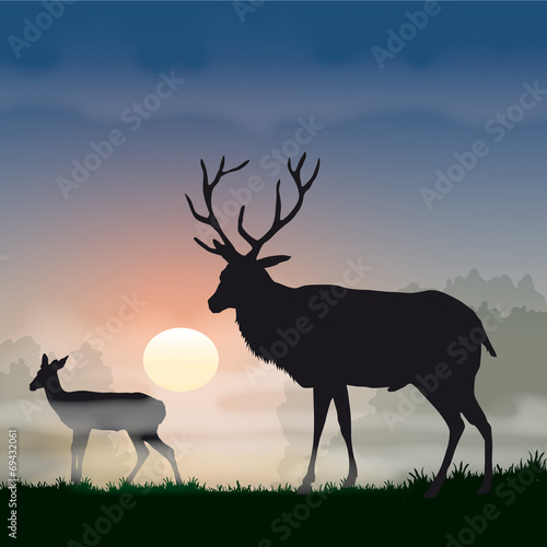 Faune - Cerf à l’aurore