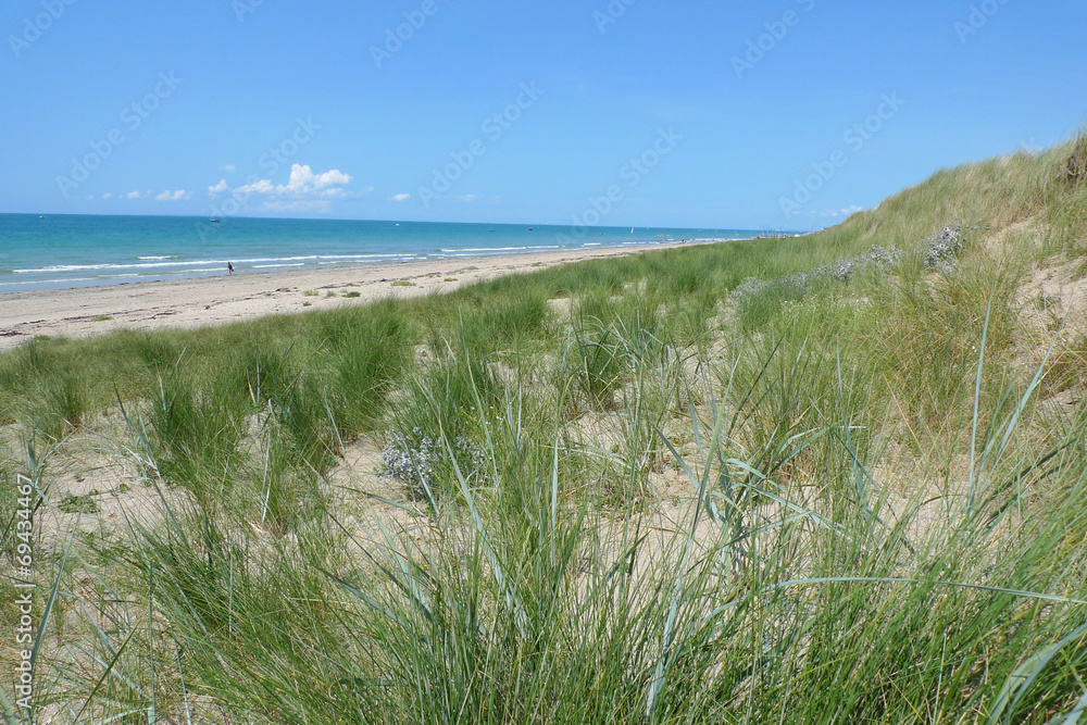 dunes de Normandie