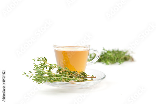 Thymiantee in Teetasse mit frischen Kräutern, weißer Hintergrund
