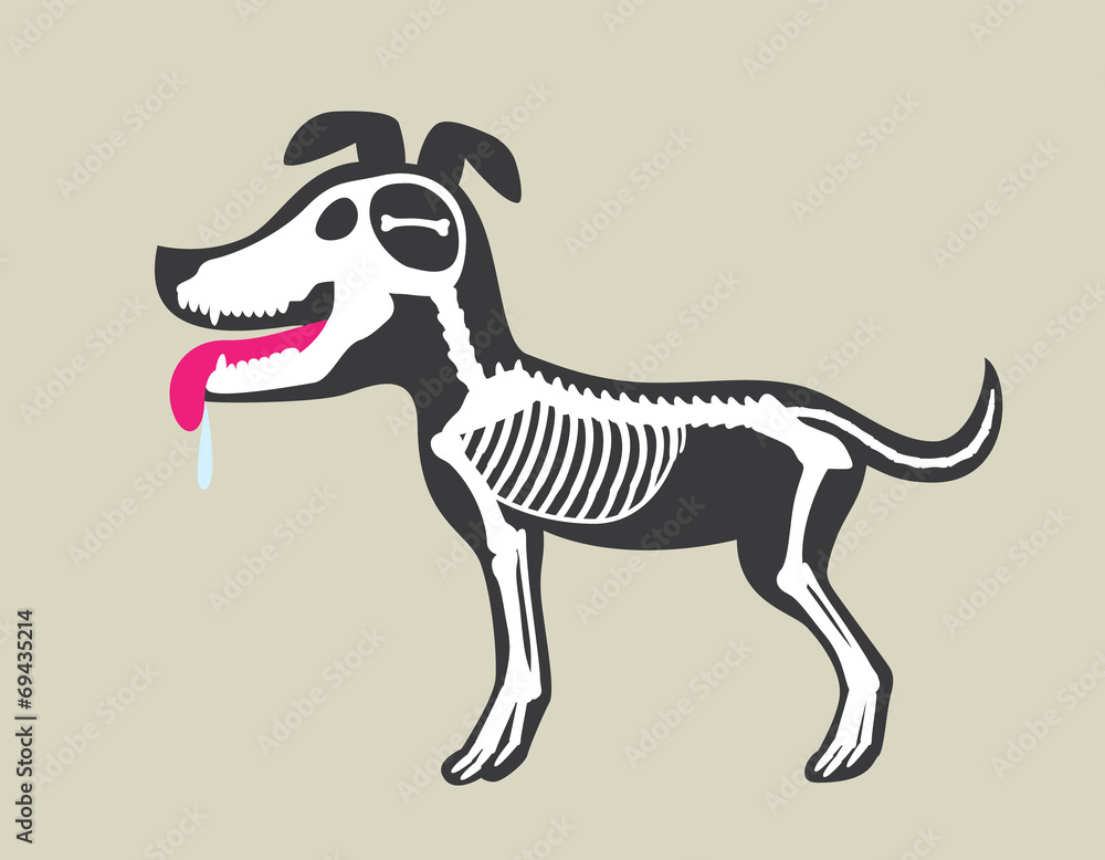 Obraz premium Dog's Bone Marrow