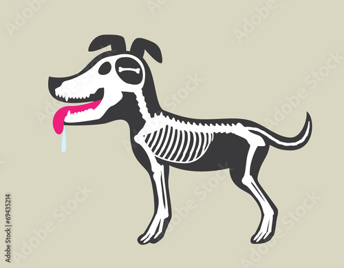 Dog's Bone Marrow