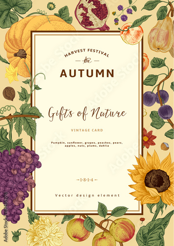Autumn harvest. Vector vintage card.