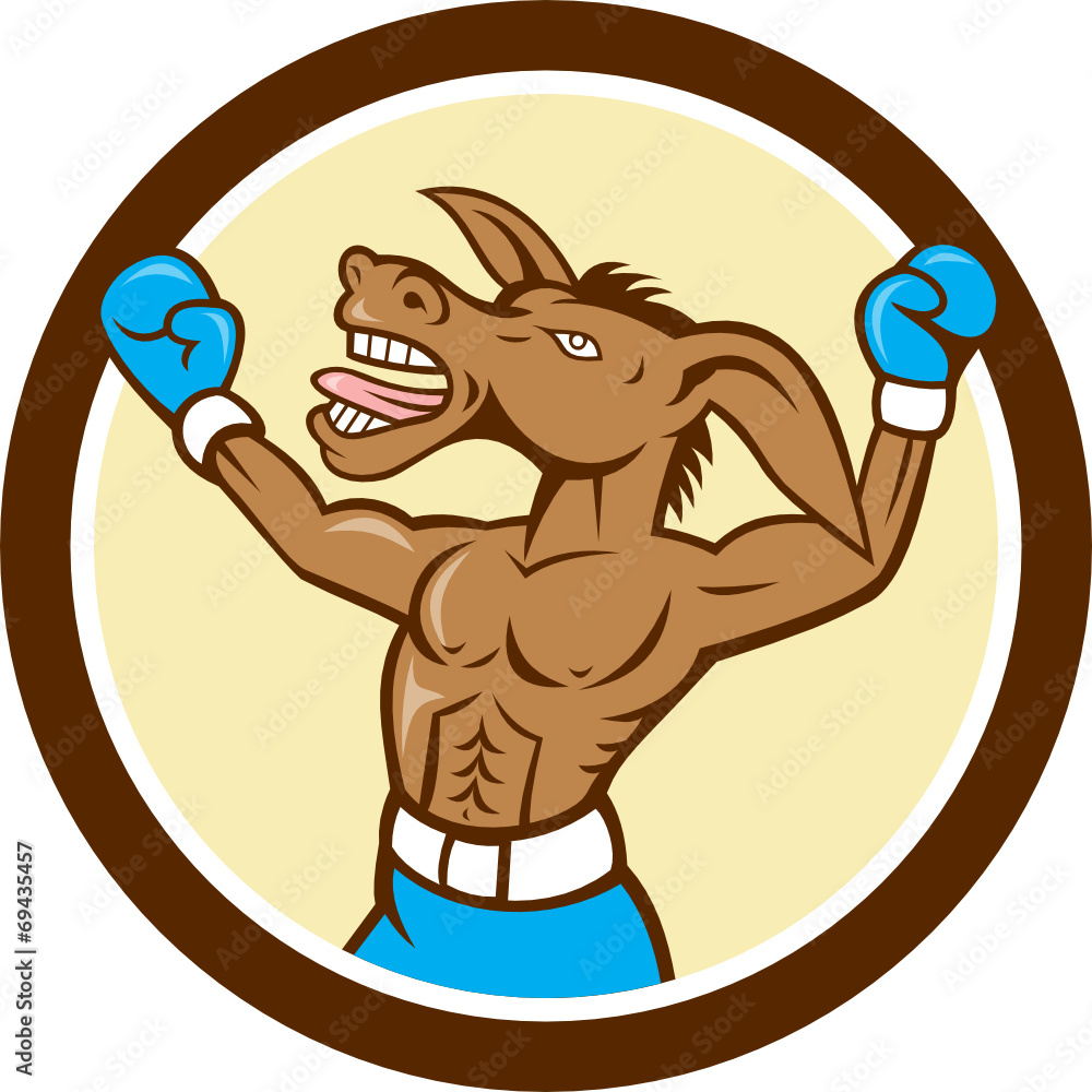 Donkey Boxing Celebrate Circle Cartoon - obrazy, fototapety, plakaty 