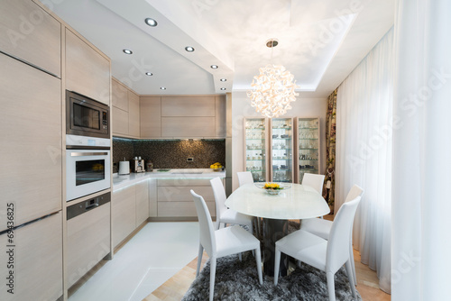 Contemporary kitchen interior