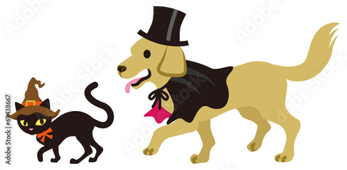 Halloween Disguise, Cat and Dog