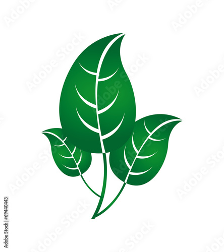eco design