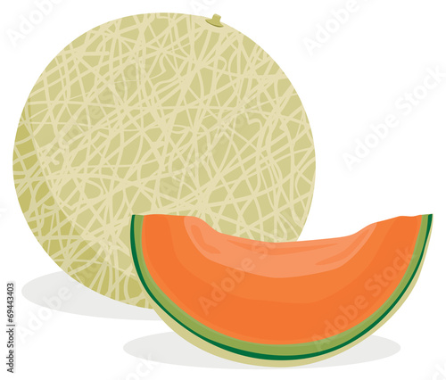 Cantaloupe melon