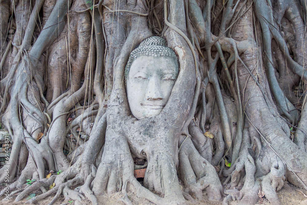 Stone Buddha In The Tree Tourist Attraction