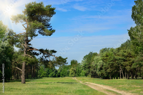 Country road